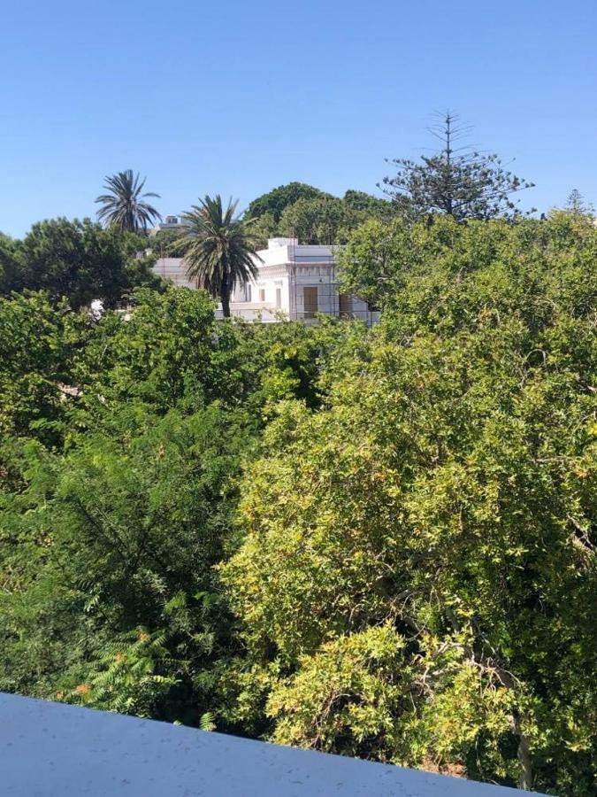 Paraskevi'S Apt - City Center W/ Lovely Park View Rhodes City Exterior photo